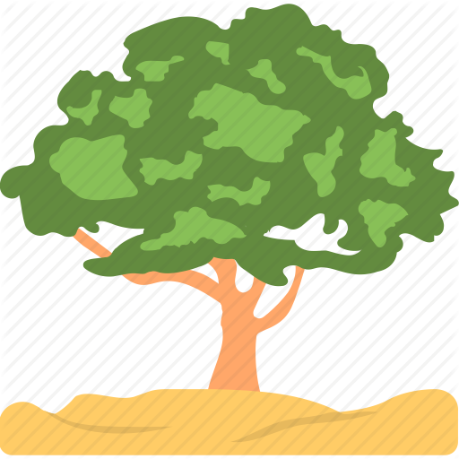 Ash Tree, Evergreen, Foliage, Greenery, Nature Icon 512x512 Ash Tree, Evergreen, Foliage, Greenery, Nature Icon