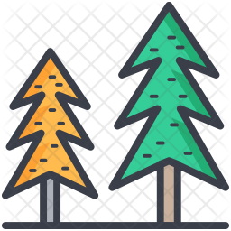 Evergreen Trees Icon Of Colored Outline Style 256x256 Evergreen Trees Icon Of Colored Outline Style