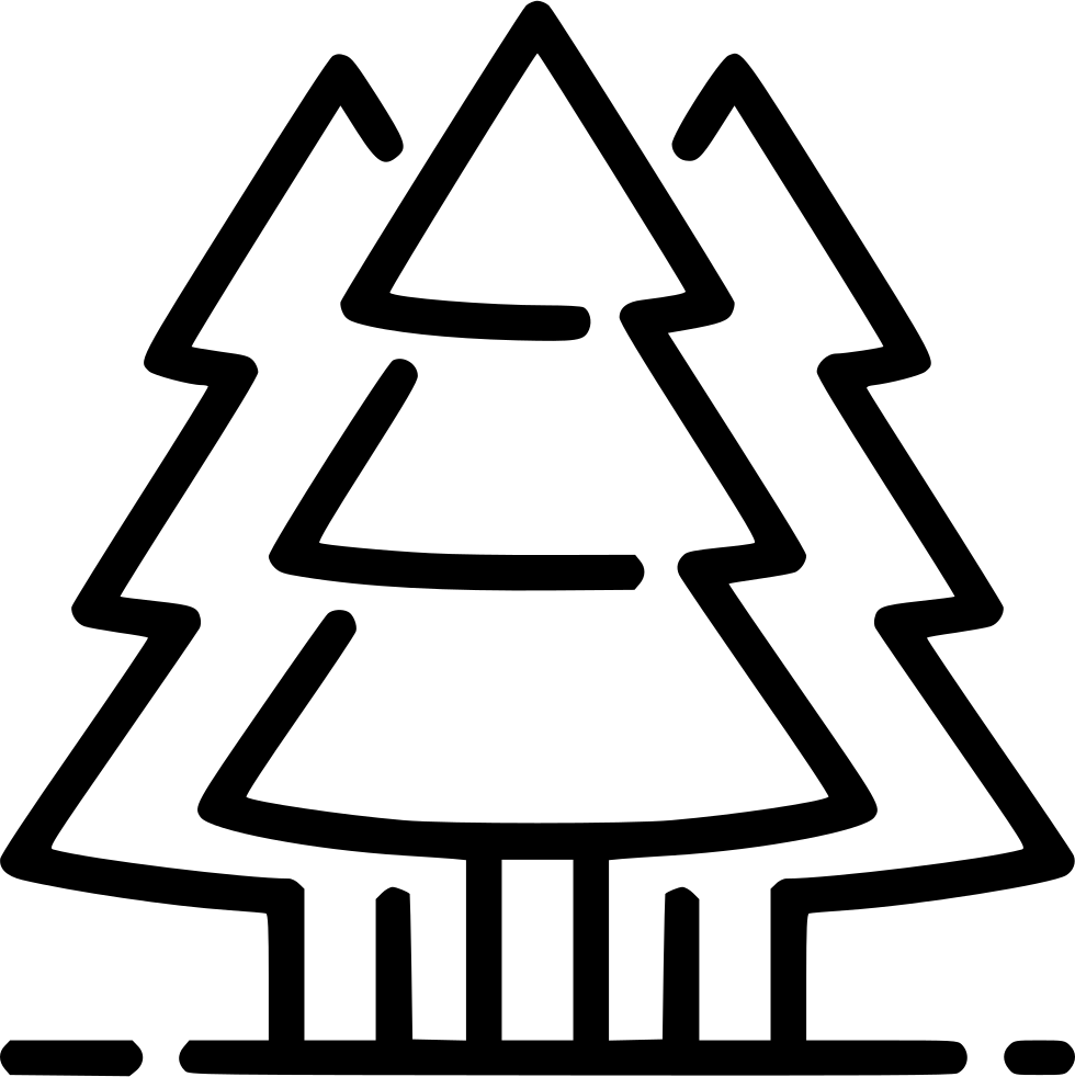 Evergreen Trees Png Icon Free Download 980x982 Evergreen Trees Png Icon Free Download