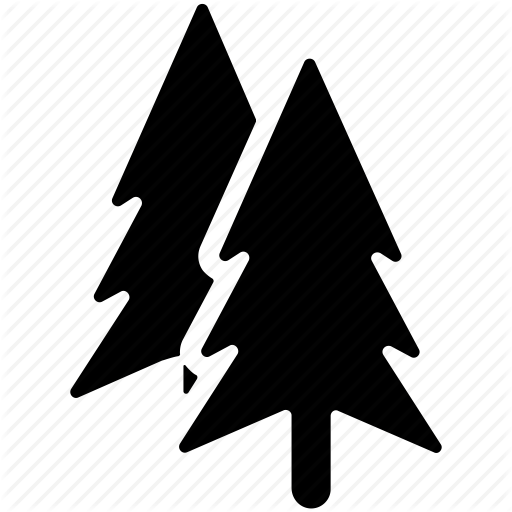 Evergreen, Fir Trees, Greenery, Nature, Trees Icon 512x512 Evergreen, Fir Trees, Greenery, Nature, Trees Icon