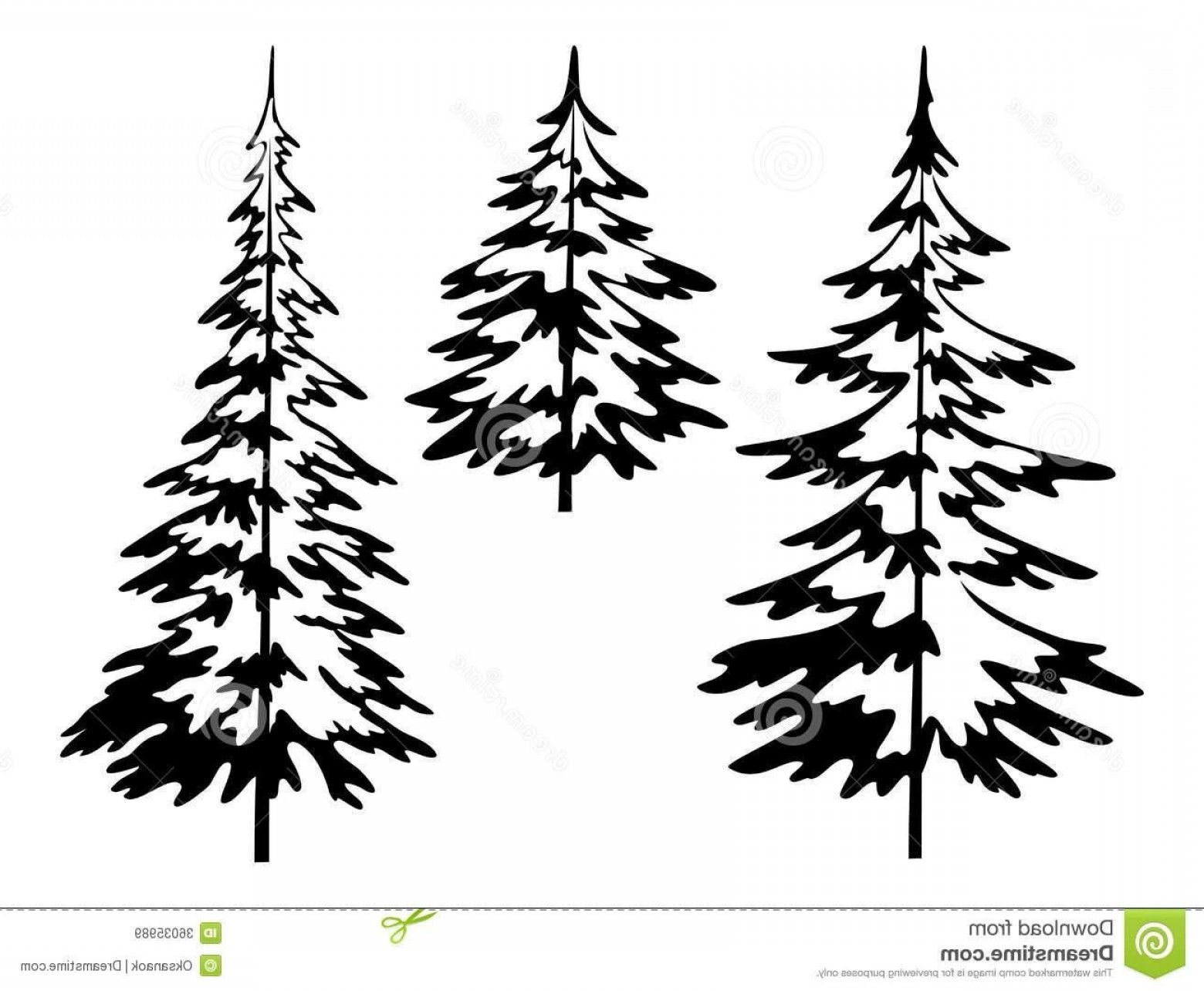 Luxury Evergreen Tree Outline Lavishly Icon Free Download Png 1560x1284 Luxury Evergreen Tree Outline Lavishly Icon Free Download Png