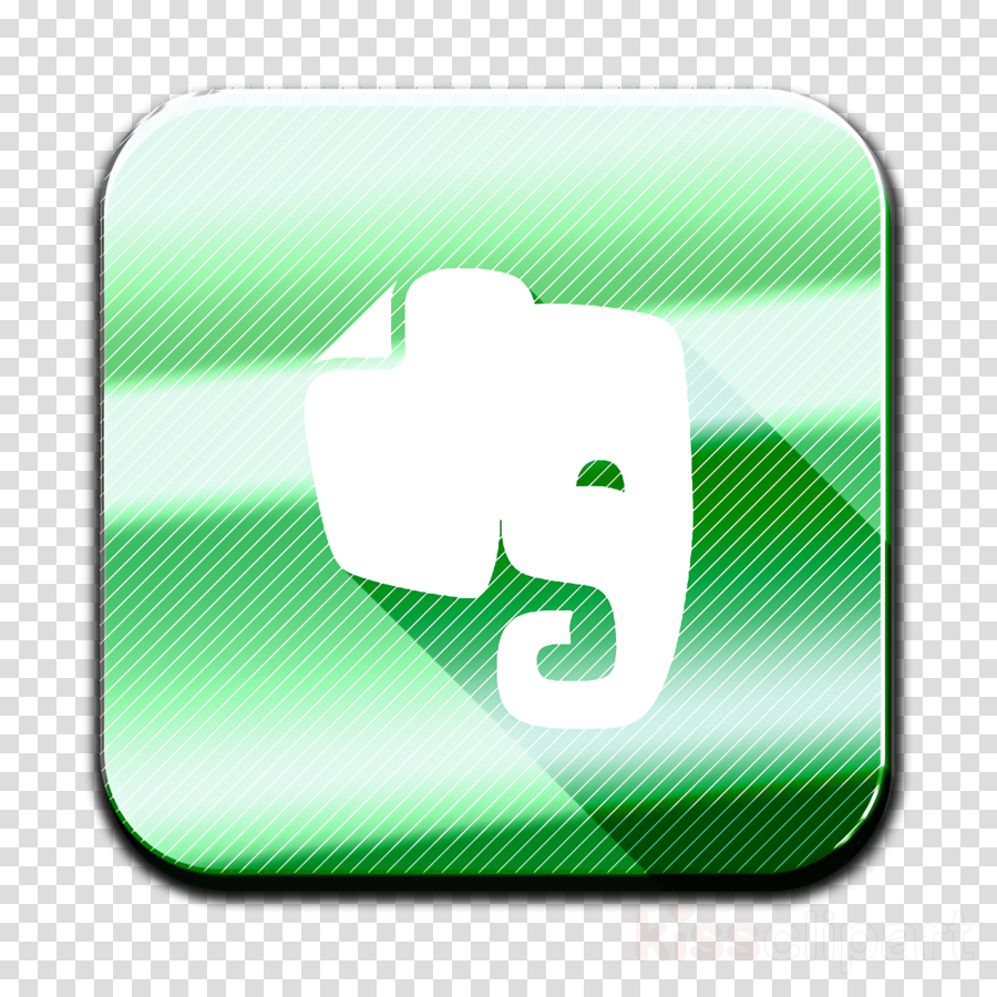 900x900 Elephant Icon Evernote Icon Social Media Icon Clipart