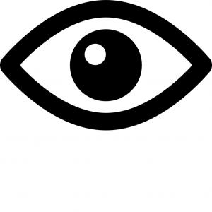 300x300 Evil Eye In Black And Grey Colors Vector Soidergi