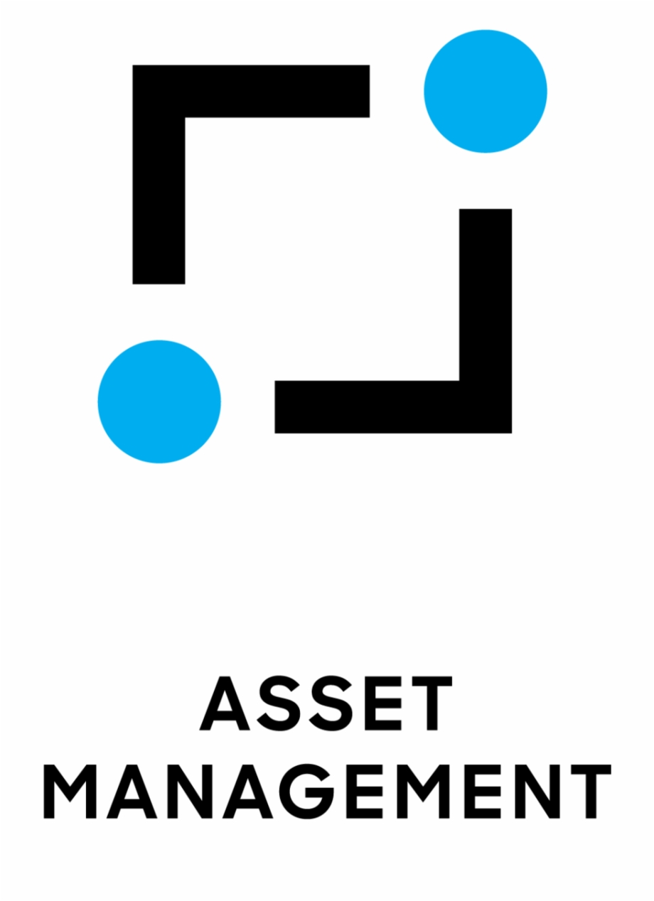 920x1268 Excel Icon Asset Management