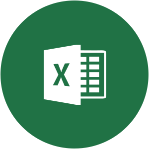 300x300 Excel Icon Logo Image