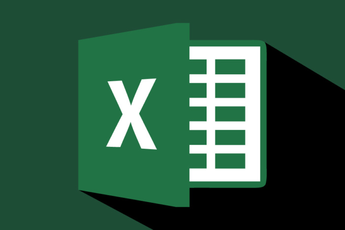 700x467 Excel Logo Icon