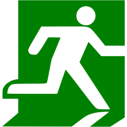 256x256 Green Exit Icon