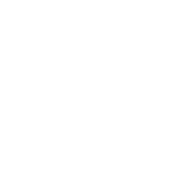 256x256 White Exit Icon