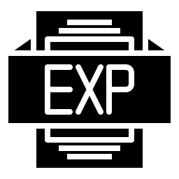 256x256 Exp Icon Of Line Style