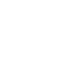 256x256 White Expand Icon