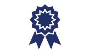 300x175 Expertise Icon Png Png Image