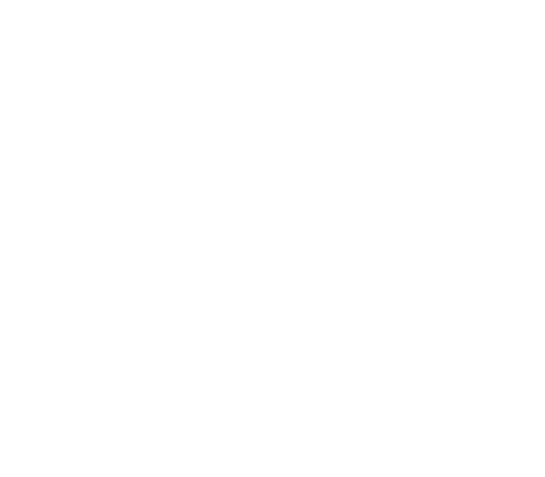 773x676 Logo Paragon Icon