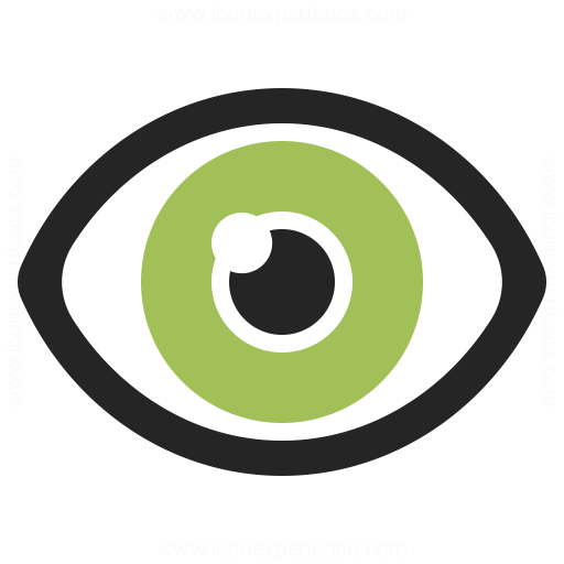 512x512 Eye Icon Iconexperience