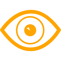 256x256 Orange Eye Icon