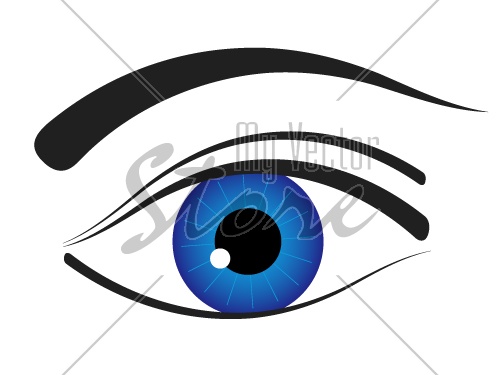 500x375 Vector Eye Icon
