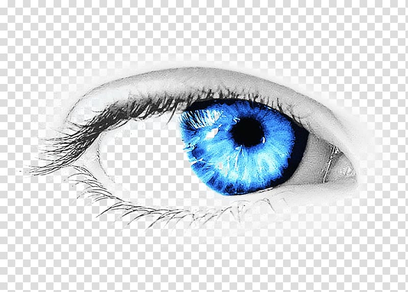 800x574 Right Human Eye, Eye Icon, Eye Transparent Background Png Clipart