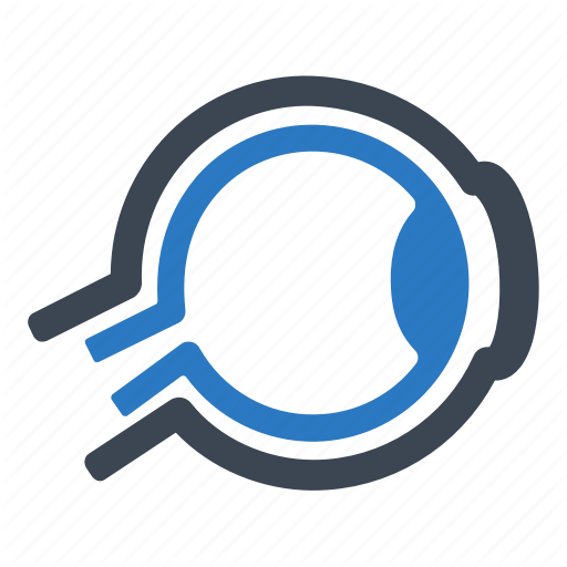 512x512 Anatomy, Eye, Eyeball Icon
