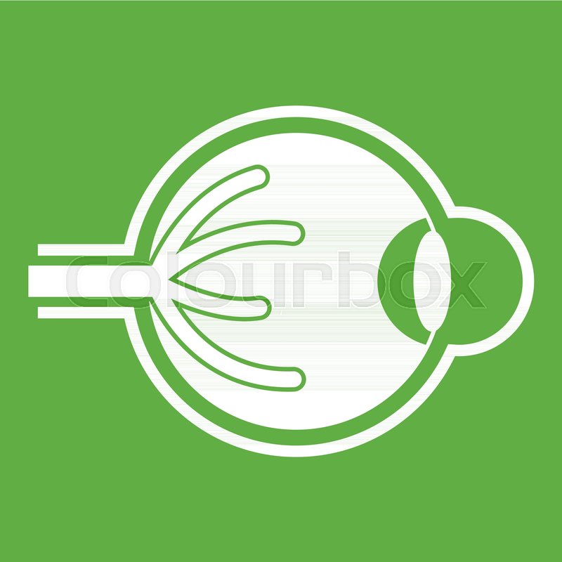 800x800 Human Eyeball Icon White Isolated On Stock Vector Colourbox