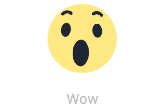 529x352 Ranil Threatens To Unleash The New 'angry' Facebook Reaction