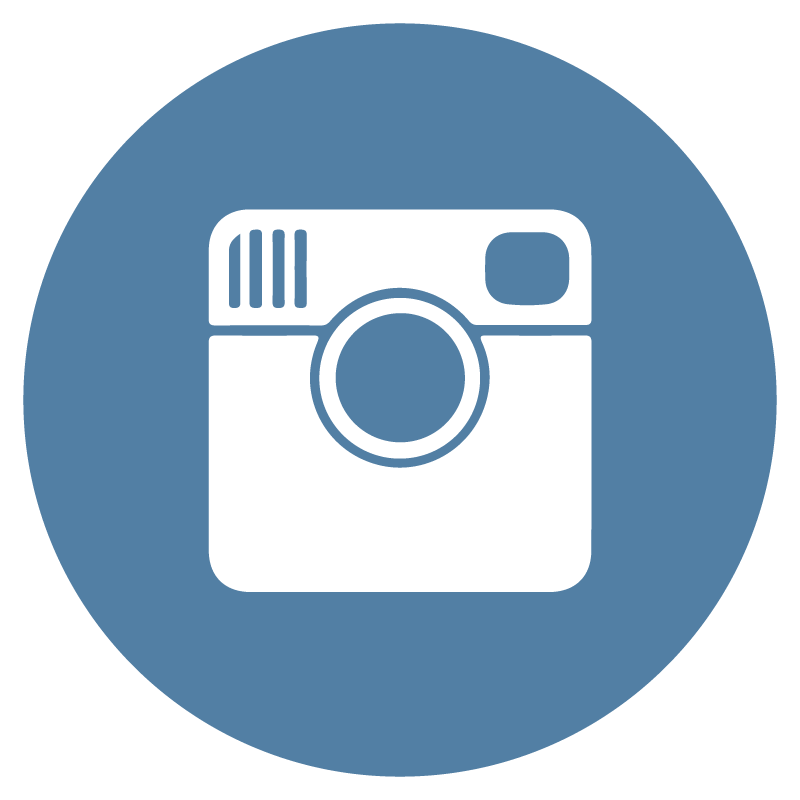 800x800 Instagram Flat Icon Circle Logo Vector