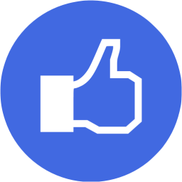 256x256 Royal Blue Facebook Like Icon