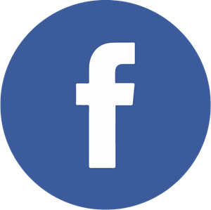 300x299 Facebook Icon Logo Vector