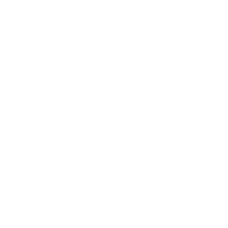 256x256 White Facebook Icon