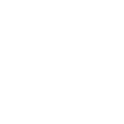 256x256 White Facebook Icon
