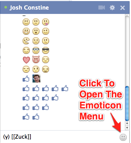 451x493 Facebook Adds Emoticons To Chat, Including A Special Moticon