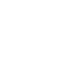 256x256 White Facebook Icon