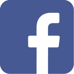 300x300 Facebook Icon Logo Vector