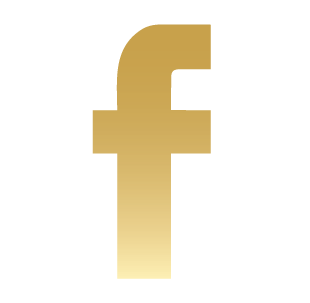 310x303 Facebook Gold Icon Png Phone Thepixinfo Logo Image