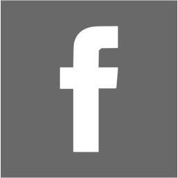 256x256 Dim Gray Facebook Icon