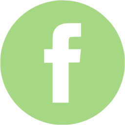 256x256 Guacamole Green Facebook Icon