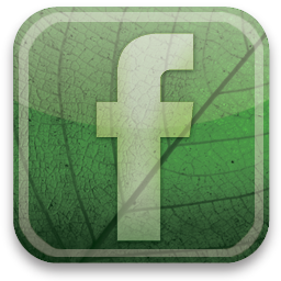 256x256 Green, Facebook, Eco Icon