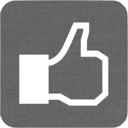 256x256 Grey Wall Facebook Like Icon