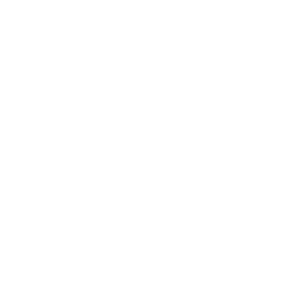 256x256 Free White Facebook Icon