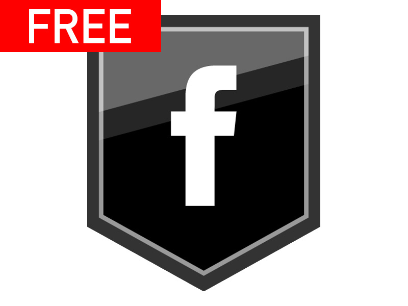 800x600 Free Silver Outline Shield Social Media Icons