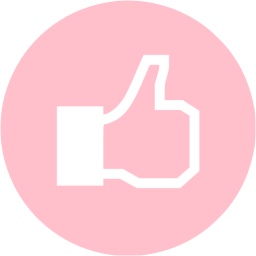 256x256 Pink Facebook Like Icon