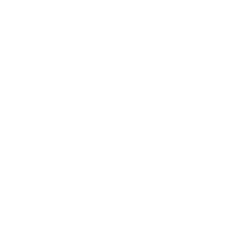 256x256 White Facebook Like Icon