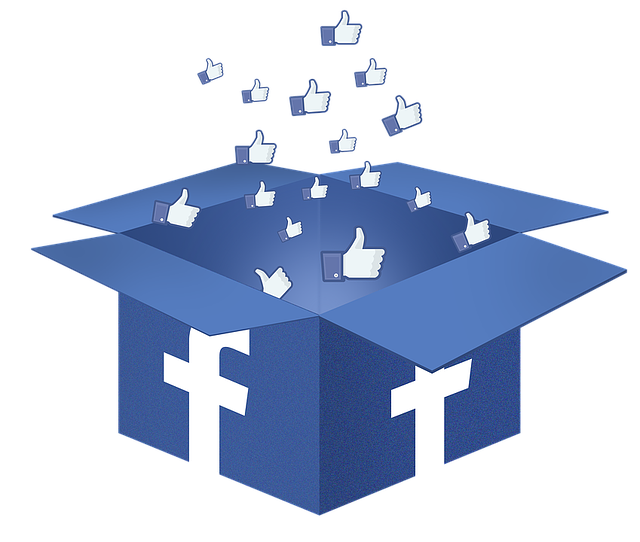 640x542 Facebook Box Like Transparent