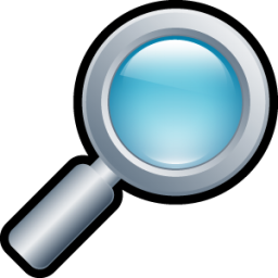256x256 Magnifying Glass Icon
