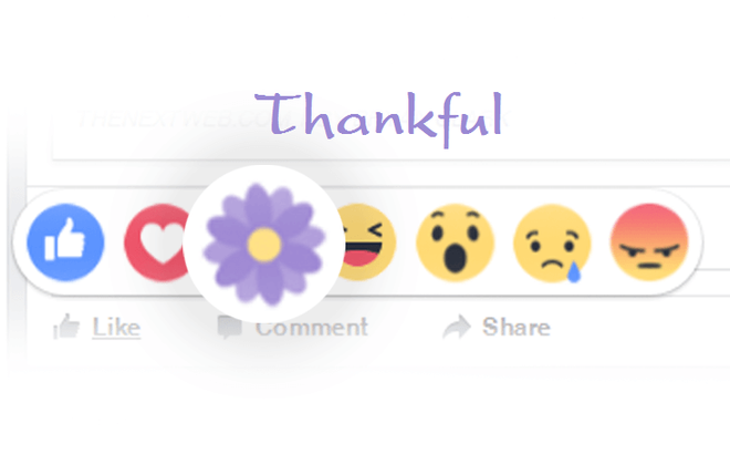 660x410 Facebook Ra Icon Hoa