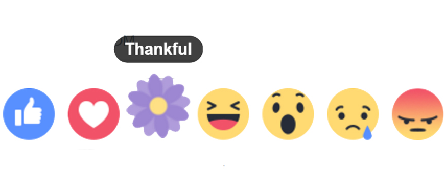 871x372 Thankful Interactions Change Sciences