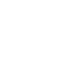 256x256 White Facebook Logo