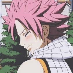 Fairy Tail Icon at Vectorified.com | Collection of Fairy Tail Icon free ...