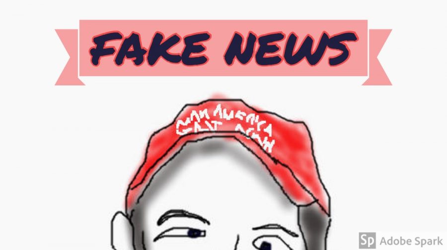900x503 Editorial Nick Sandmann Is A Symbol Of Fake News The Knight Crier