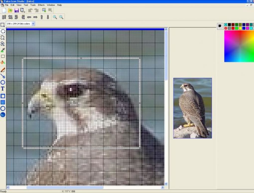 Falco Icon Studio 1020x774 Falco Icon Studio