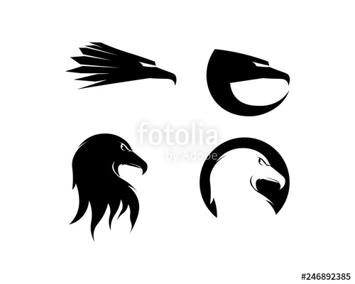 Falcon Wing Logo Template Vector Icon Design Stock Image 500x400 Falcon Wing Logo Template Vector Icon Design Stock Image