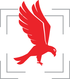 Falcon Icon 237x267 Falcon Icon